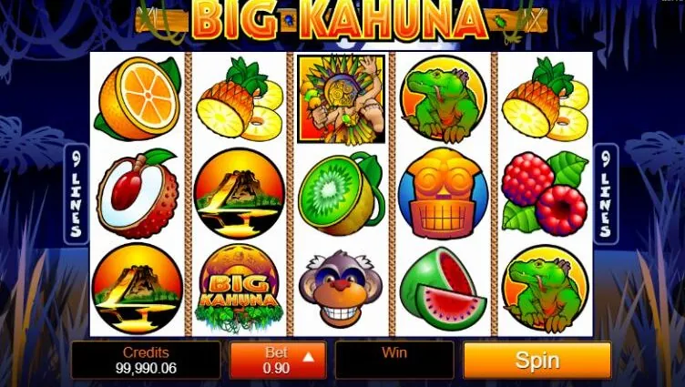 Big Kahuna — Game interface and symbols