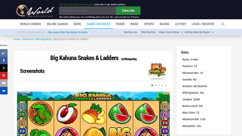 Big Kahuna Snakes and Ladders — Base game screenshot