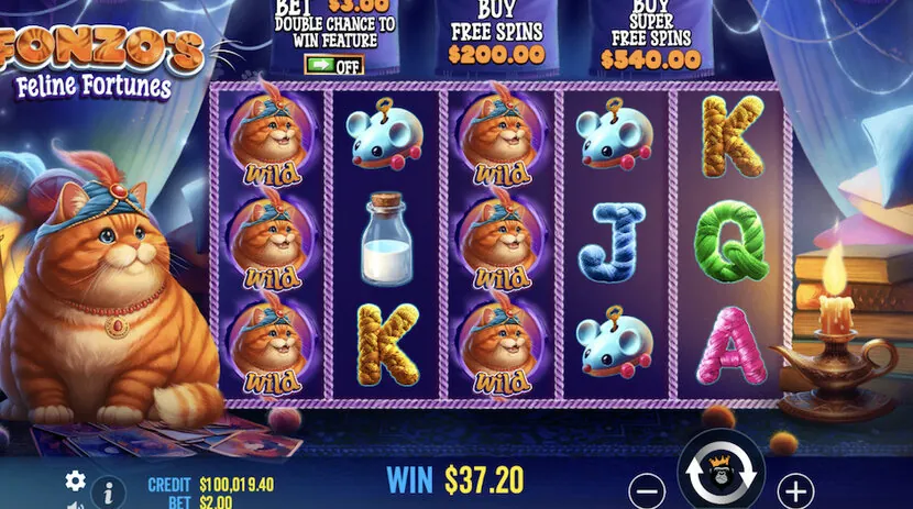 Cats And Cash — Game view — different reel state