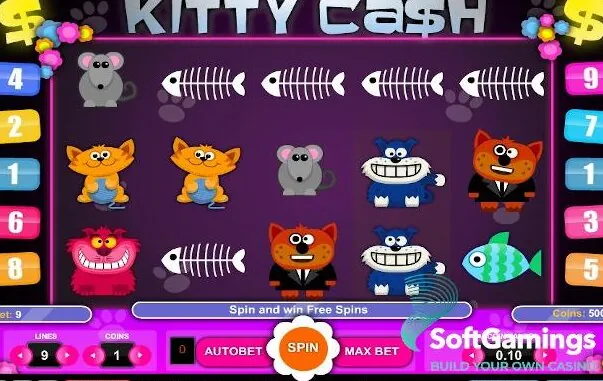 Cats And Cash — Game interface and symbols