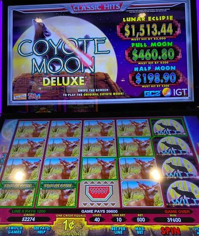 Coyote Moon slot — Premium wildlife symbols — cougar, hawk, coyote