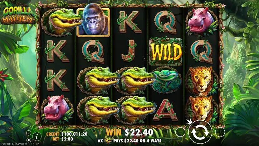 Gorilla Mayhem — Game interface and symbols